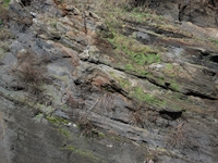 nte Mojo-30122011 117